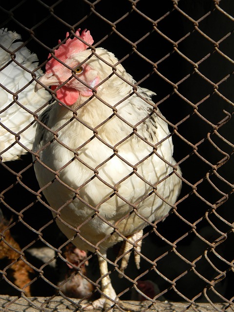 的战术设计 的战术设计