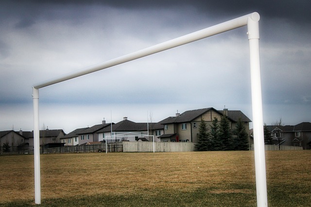 名意大利球 名意大利球