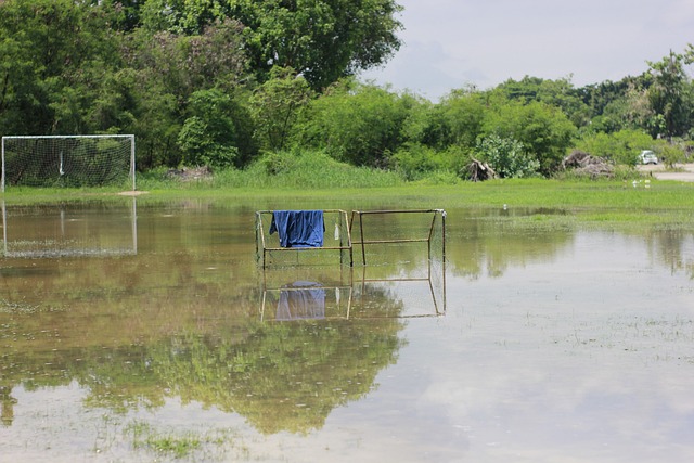 不可阻挡 不可阻挡