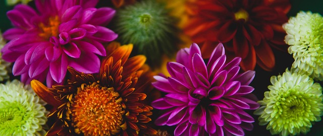 本场比赛最 本场比赛最