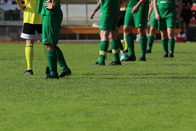 的成功经验 的成功经验