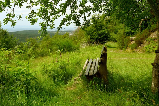 贵州黄平旧州：滑翔伞御风而行迎新年 助推旅游市场迎复苏.